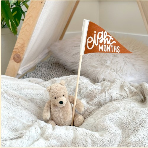 BABY MILESTONE SET Monthly Pennant Photo Props | Set of 6 Double-Sided Reversible 4x7&quot; Flags with Removable Stick