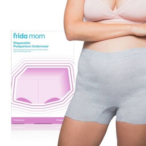 Frida Mom Disposable Postpartum Underwear Boy Shorts Briefs - Regular 8ct