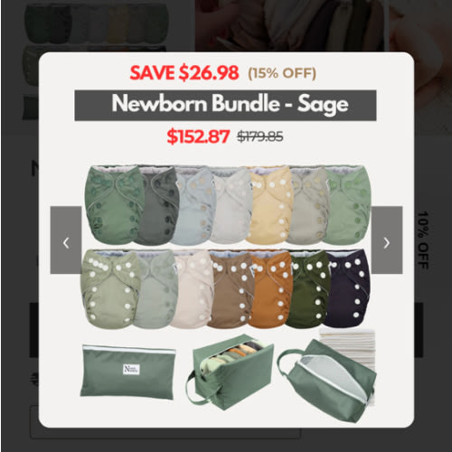 Nora’s Nursery Newborn Cloth Diaper Bundle - Sage