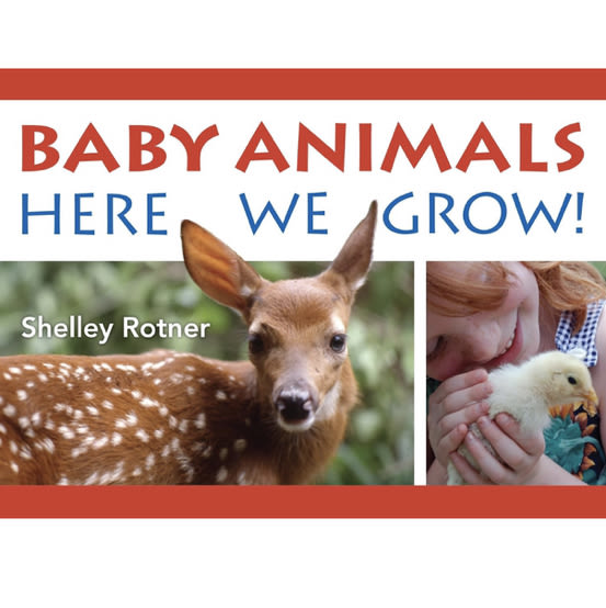Baby Animals!: Here We Grow