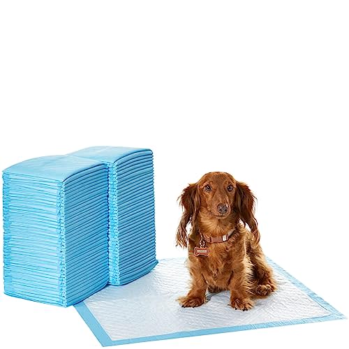 Amazon Basics Dog and Puppy Pee Pads with Leak-Proof Quick-Dry Design for Potty Training, Heavy Duty Absorbency, Regular Size, 24 x 23 Inches - Pack of 80