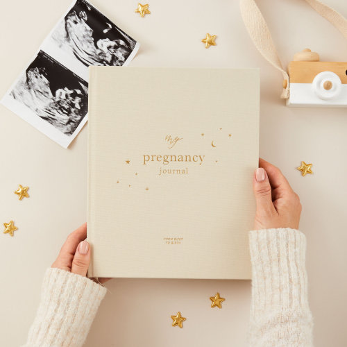 My Pregnancy Journal, Expectant Mother Gift, Pregnancy Planner - Pearl - gift for parents to be, pregnancy record book w/gilded edges