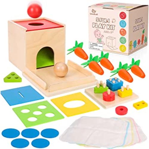Amazon.com: Woodtoe Montessori Toys for Babies 3 Year Old, Wooden Educational Toy, 5 in 1 Play Kit Set with Object Permanence Box, Baby Tissue Box, Carrot Harvest, Coin Box, Toddler Early Development Toy for Baby : Toys & Games