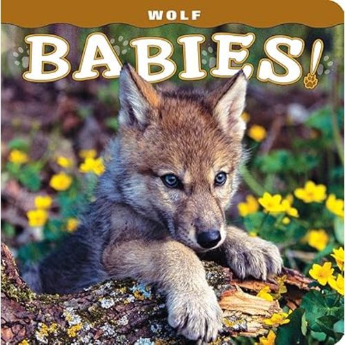 Wolf Babies! Board book – June 28, 2013