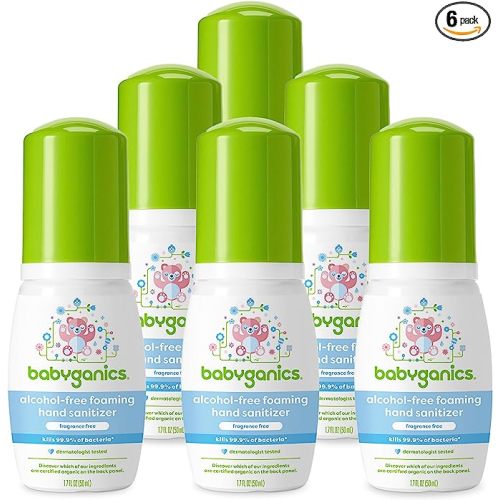 Babyganics Foaming Pump Hand Sanitizer, Alcohol Free, Travel Size, Fragrance Free, Kills 99.9% of Common Bacteria, Moisturizing, 1.69oz (Pack of 6)