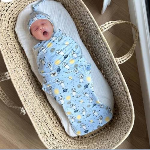 Norani Baby Snugababe Sleep Pod with Arm Inserts - Space Bears