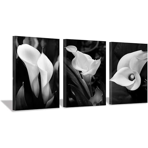 Hardy Gallery Floral Artwork Flower Painting Picture: Calla-Lily Print on Canvas Set for Wall Art (16”x12”x3pcs)