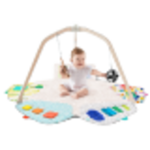 Lovevery Play Gym
