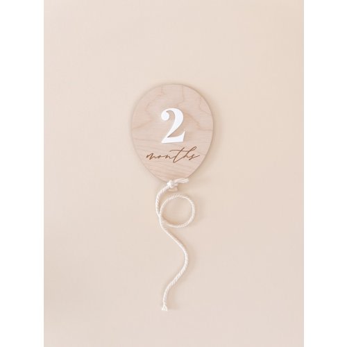 Balloon Milestone Markers Baby Monthly Milestone Signs - Etsy