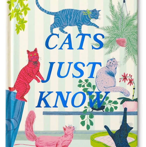 Cats Just Know