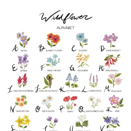 Wildflower Alphabet Watercolor Print; Nursery Decor