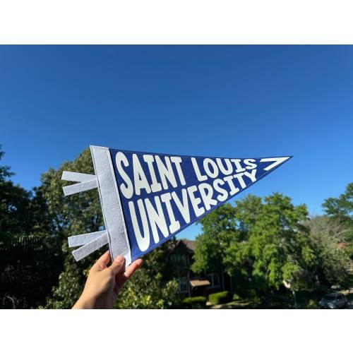 Custom School Pennant Flag - High School Flag - College Pennant Flag - Felt Pennant Flag - Elementary School Flag