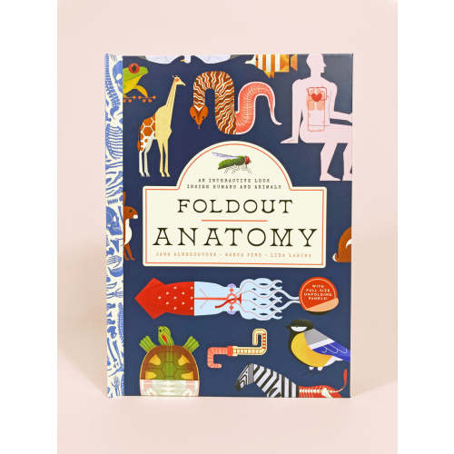 Foldout Anatomy