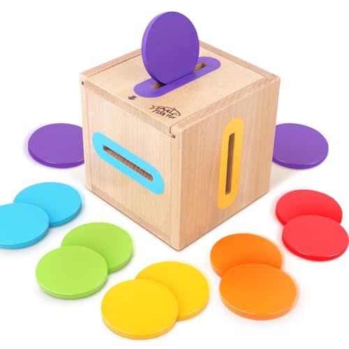 Montessori Toys for 1 2 3 Year Old: Fine Motor Skills Toys Wooden Color Sorting Sensory Toy for 1-3 Year Old, Object Permanence Wooden Learning Matching Game Travel for Baby Boys Girls Easter Gifts