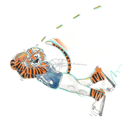 Receiver Aubie