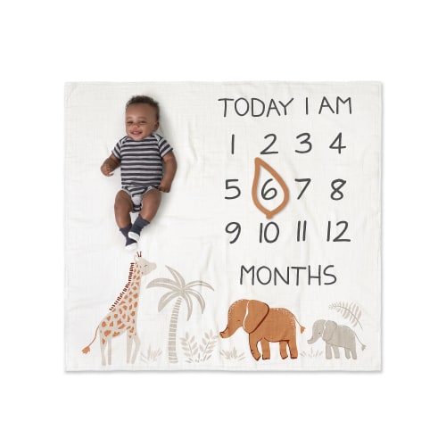 Modern Moments by Gerber Baby Boy Milestone Blanket & Frame Set, Ivory Safari, OEKO-TEX Certified, 60% Cotton