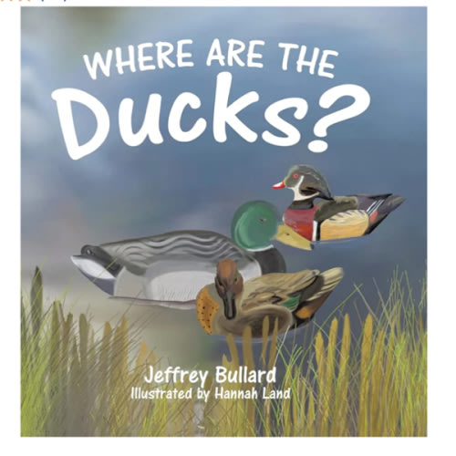 Where Are the Ducks?