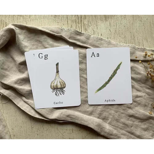 Homestead Alphabet Cards
