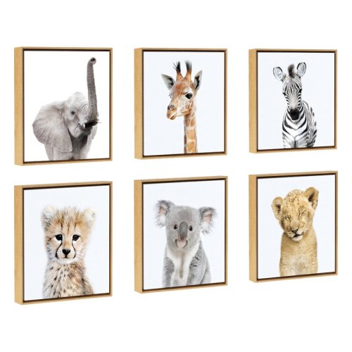 Isabelle & Max™ 'Safari Animals' by Amy Peterson - Floater Frame Graphic Art Print on Canvas & Reviews | Wayfair