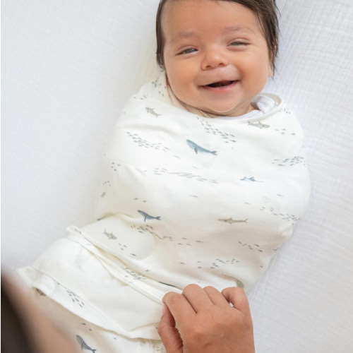 HALO 100% Cotton Sleepsack Swaddle, 3-Way Adjustable Wearable Blanket, TOG 1.5, Ocean Life, Small, 3-6 Months