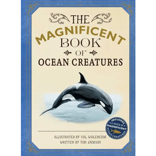 The Magnificent Book of Ocean Creatures