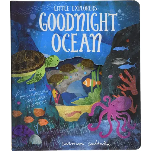Goodnight Ocean (Little Explorers)