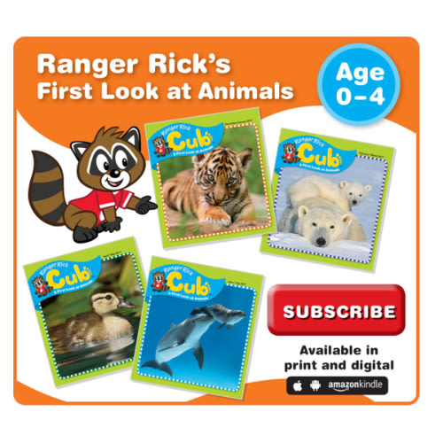 Ranger Rick Cub - NWF | Ranger Rick