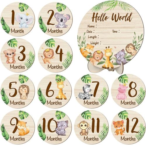 Wooden Baby Monthly Milestone Cards Double Sided Baby Birth Announcement Sign, Hello World Milestone Sign Discs Pregnancy and Baby Shower Gifts for Newborn Photo Props