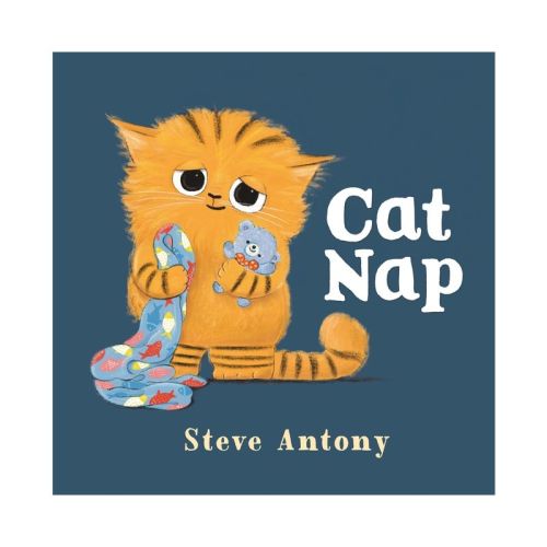 Cat Nap - by Steve Antony (Hardcover)