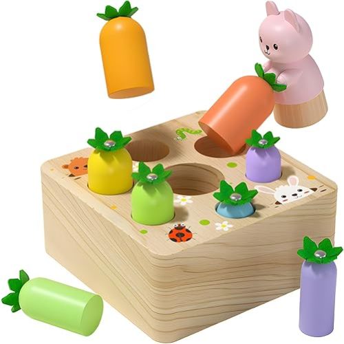 Montessori Toys for Baby 6-12 Months, Wooden Toy for 1 Year Old Boys and Girls, Magnetic Carrot Game for Toddlers, Shape Sorting Matching Puzzle, Educational Birthday (Bouncing Carrot)