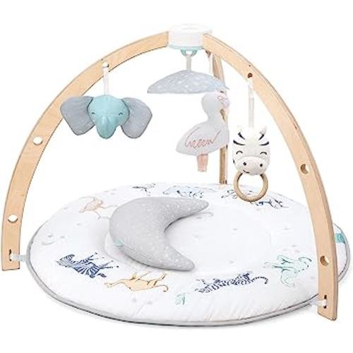 aden + anais Play and Discover Baby Activity Gym – 30+ Developmental Benefits - 3 Attachable Toys + Plush Tummy Time Pillow – 100% Cotton Muslin – Machine Washable