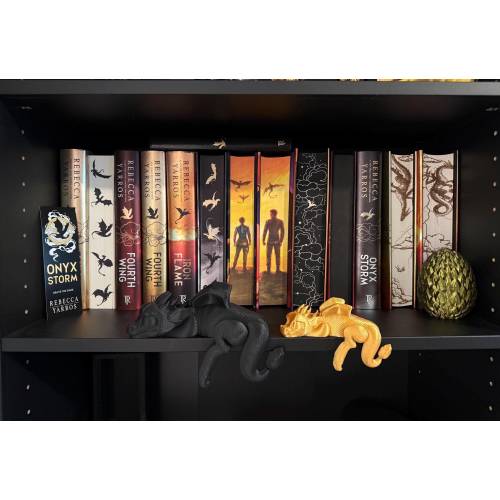 Sleeping Dragon Bookshelf Decor 3D Print Customizable Shelf Sitter