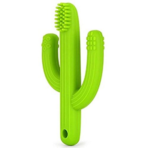 Pickle & Olive Baby Teether Toy Toothbrush - Infant Training Toothbrush for Teething - 100% Food Grade Silicone/BPA-Free - Green Cactus