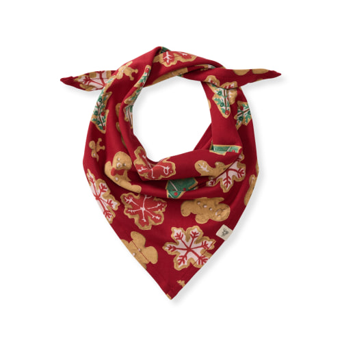Gingerbread Bake Matching Family Pet Bandana – Burt's Bees Baby