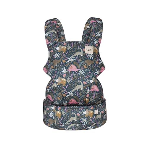 Baby Tula Explore Mesh Baby Carrier - 7-45 lb, Adjustable Newborn to Toddler, Multiple Ergonomic Positions Front and Back, Breathable and Cool - Coast + Mesh, Land Before Tula