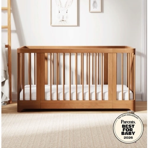 Newton Nest Convertible Crib