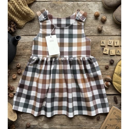 Autumn Plaid Dress