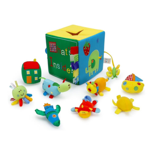 Genius Baby What's Inside Toy Box