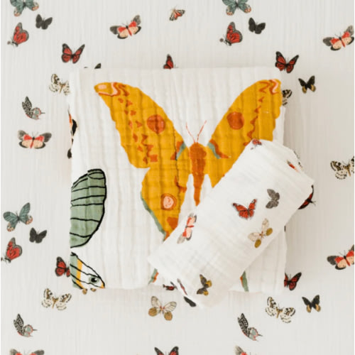 Butterfly Essential Bundle