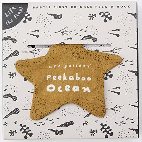 Peekaboo Ocean: Lift the flap! (Baby's Frist Crinkle Peek-A-Book)