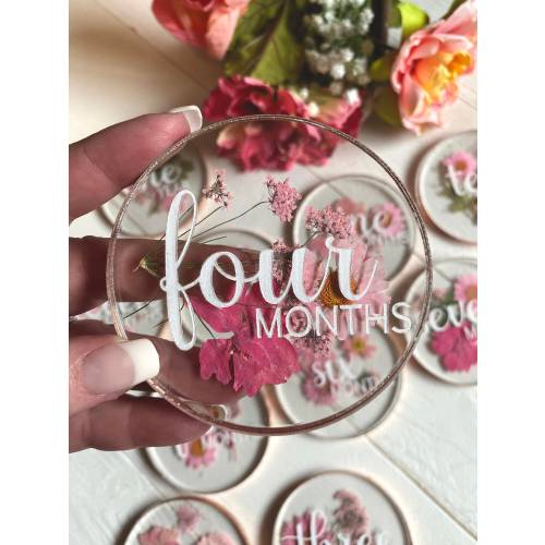 Pressed Flower Acrylic Monthly Milestone Set | Newborn Photo Prop | Floral Baby Name Sign | Monthly Milestone Set | Pressed Flower Art