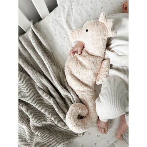 Cotton Cuddly Seahorse, Small | Stuffed Animals- Blue Otter Toys