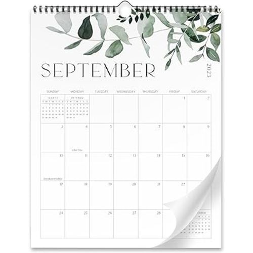 Amazon.com: Aesthetic Modern Greenery Wall Calendar - Runs from June 2023 Until December 2024 - The Perfect 23-24 Spiral Calendar and Monthly Planner for Easy Organizing : Office Products