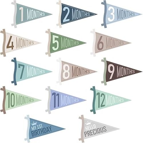 14 Pcs Baby Monthly Milestone Signs Pennant Flags, Hello World Newborn Announcement Sign, Felt Baby Months Signs Photoshoot Props for Boy Girl Newborn Birthday Party Nursery Decor