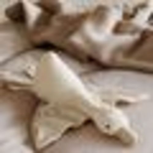 Soft Toy
