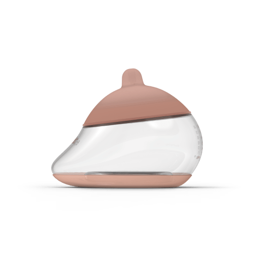 The Anatomy Bottle
