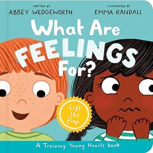 What Are Feelings For? Board Book: A Lift-the-Flap Board Book (Christian behavior book for toddlers encouraging emotional health and resilience.)