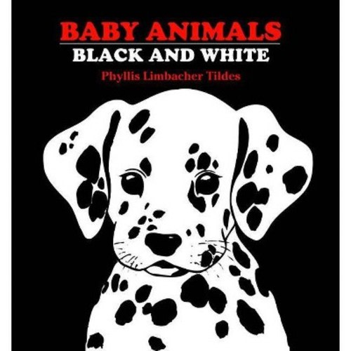 Baby Animals - by Phyllis Limbacher Tildes (Board Book)