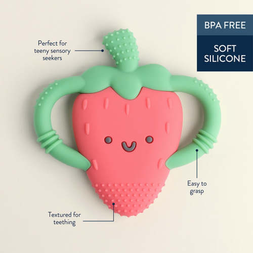 Itzy Ritzy Chew Crew Toy