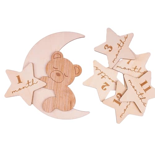 Daisy 3D Baby Monthly Milestone, Wooden Baby Milestone Signs, Monthly Milestone Wood Discs, Baby Milestone Discs (A23)